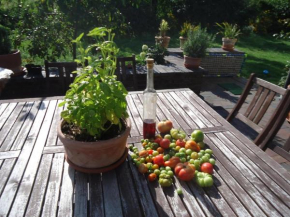 Ferienwohnung in ruhiger Lage am Waldrand